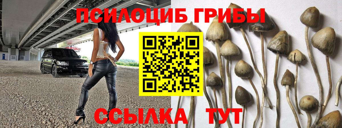 Миасс  Галлюциногенные грибы Magic Shrooms  Псилоцибиновые грибы мухоморы  Вход с VPN 